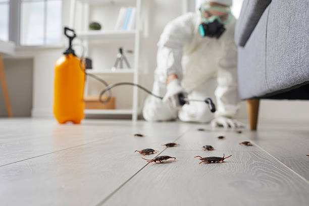 Trusted Fumigation Services service in Indian River Estates, FL - Nex Pest Control